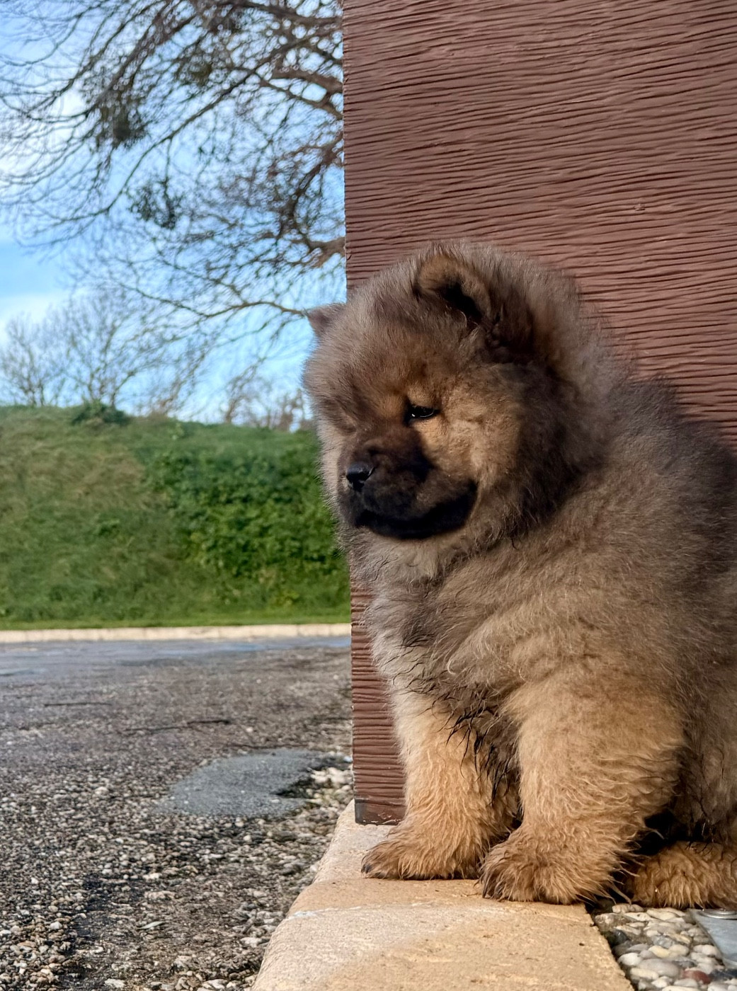 Abyss des Pantoufles d'Amour